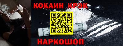 стаф Гай