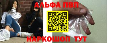 стаф Гай