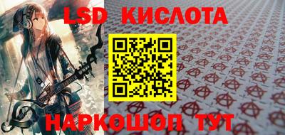 стаф Гай