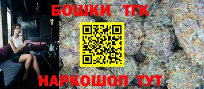 стаф Гай