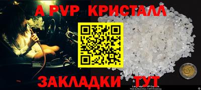 стаф Гай