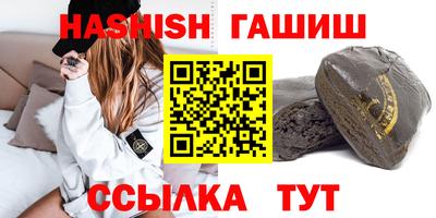 стаф Гай