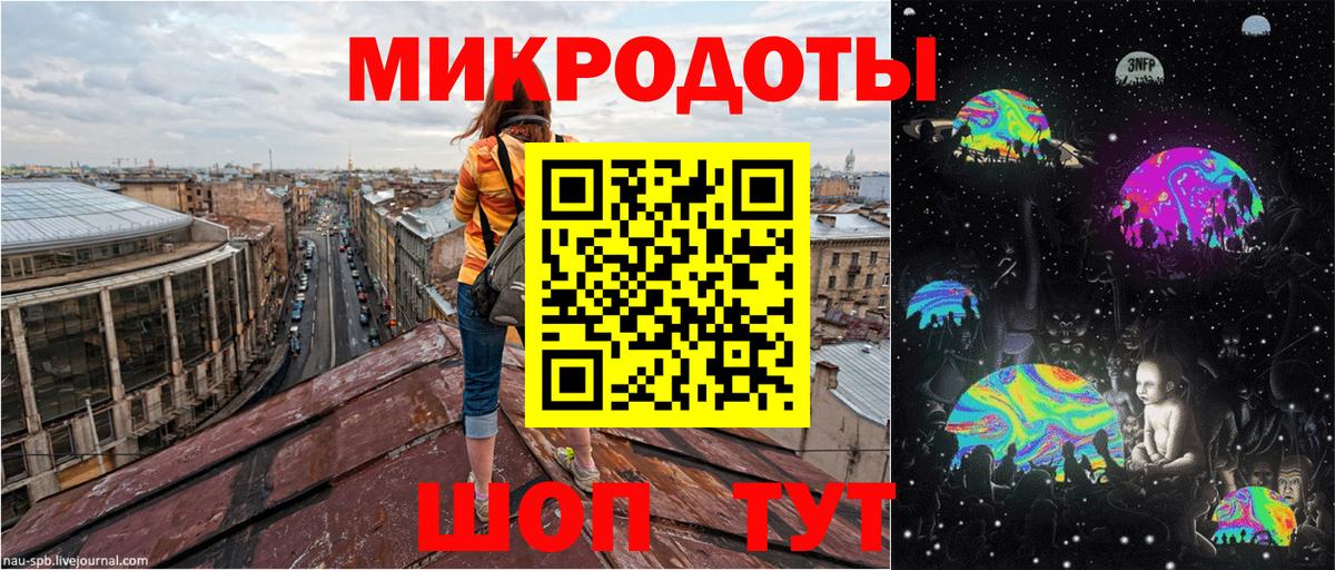 Псилоцибиновые грибы Psilocybe Нарткала