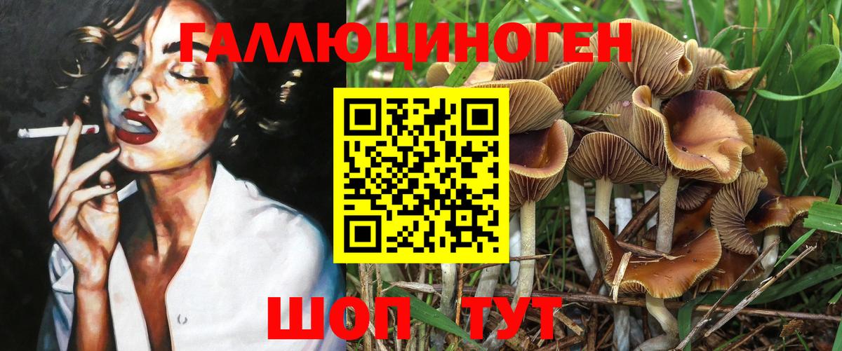 Нарткала  Псилоцибиновые грибы Psilocybine cubensis  Галлюциногенные грибы прущие грибы  Вход с VPN 